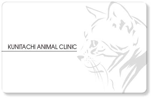 猫の横顔のイラストの動物病院用診察券デザインG11